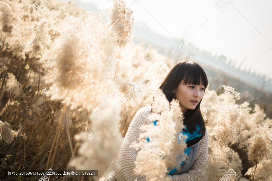 芦苇丛里的女孩