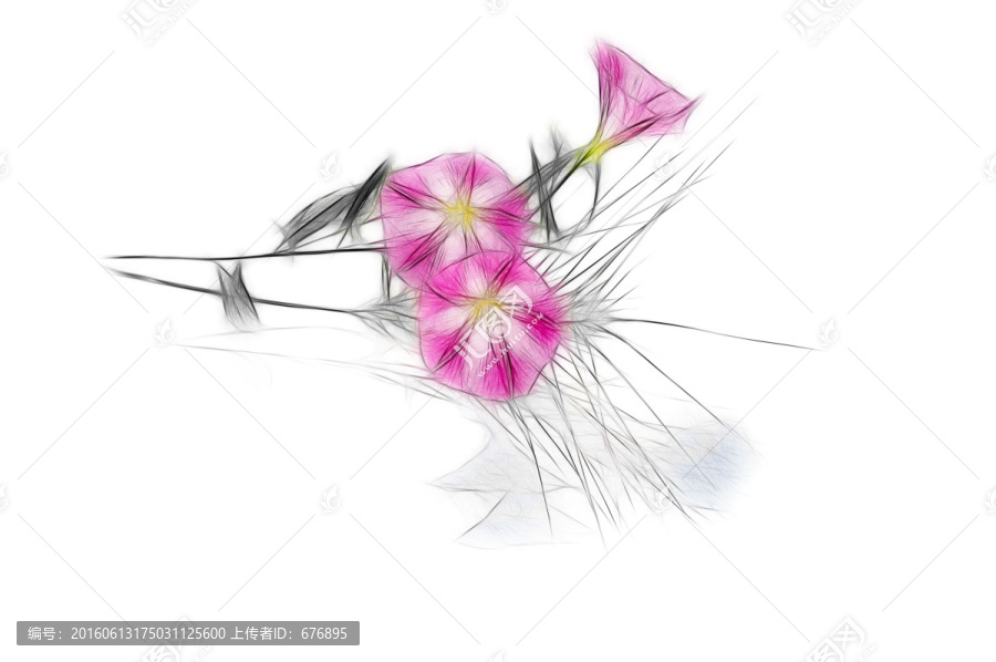 線繪旋花