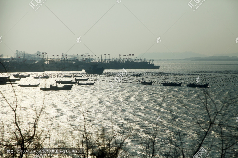 天鹅,湖