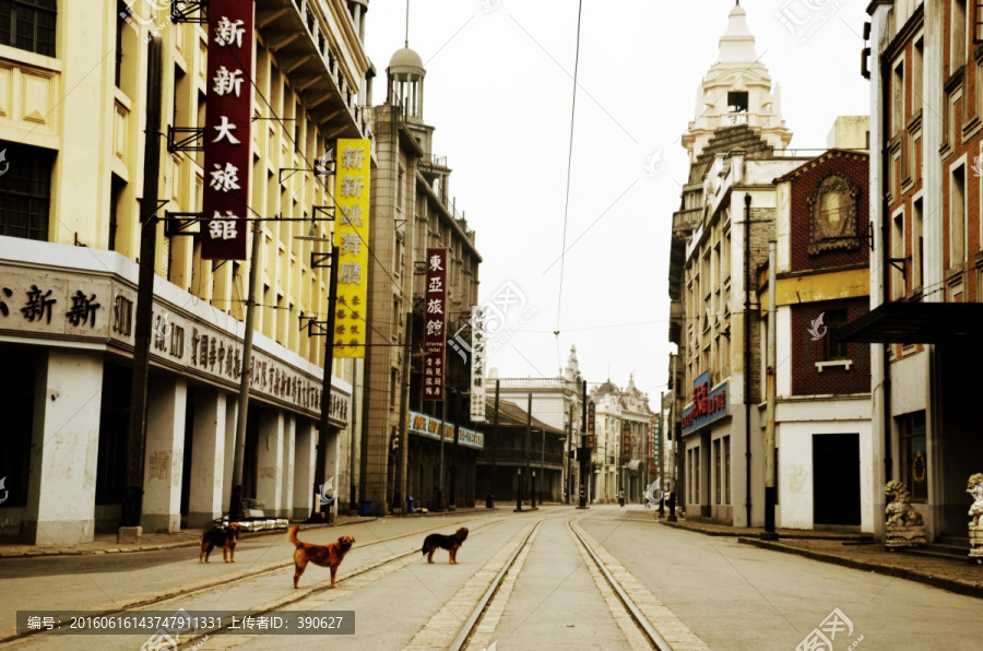 老上海街景,街头流浪狗