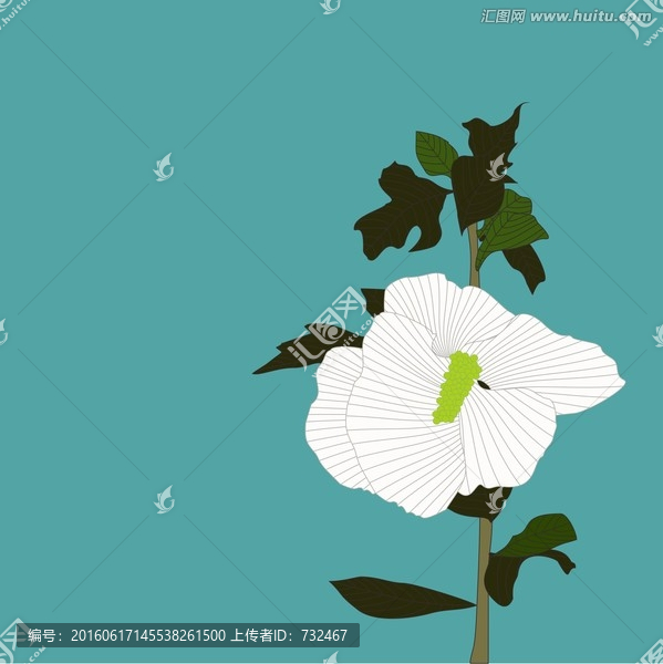 花卉底紋素材