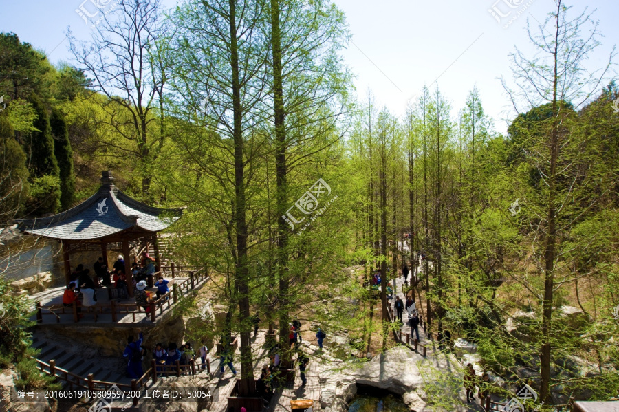 北京植物园樱桃沟