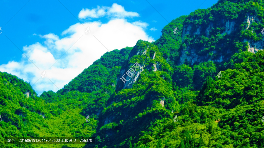 青山耸立,山林