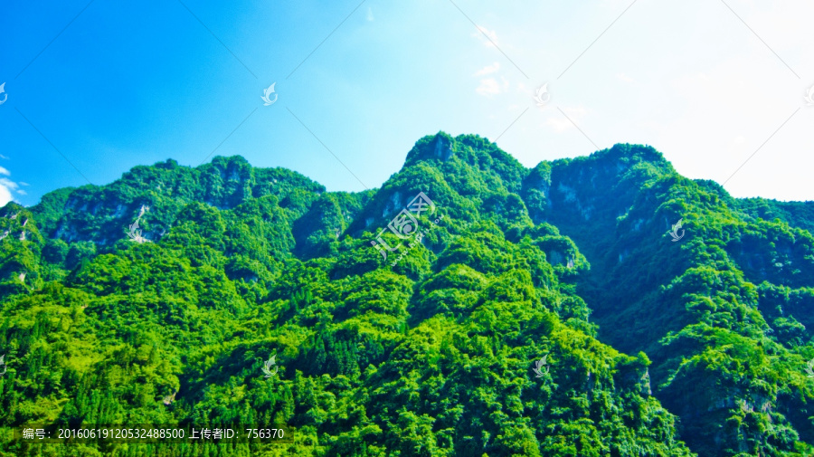 青山耸立,树林