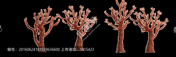 四棵樹干