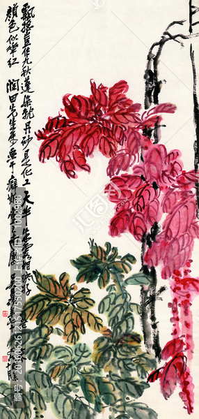 吳昌碩,花鳥國畫（合層）