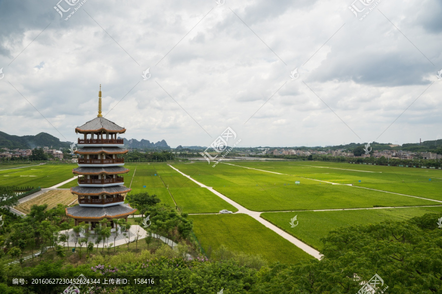 宝塔水稻田