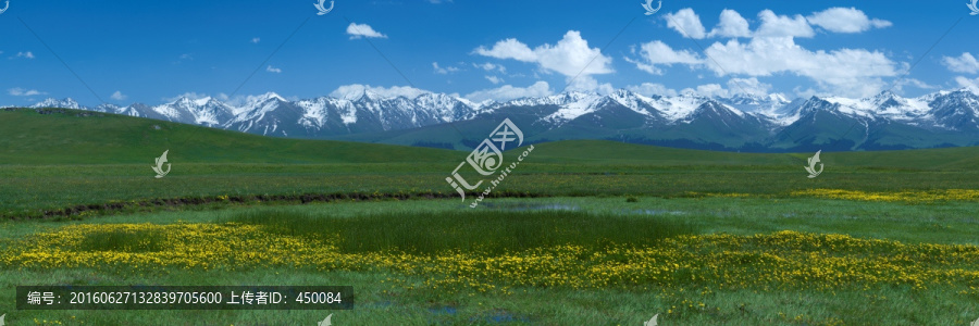 高山花环