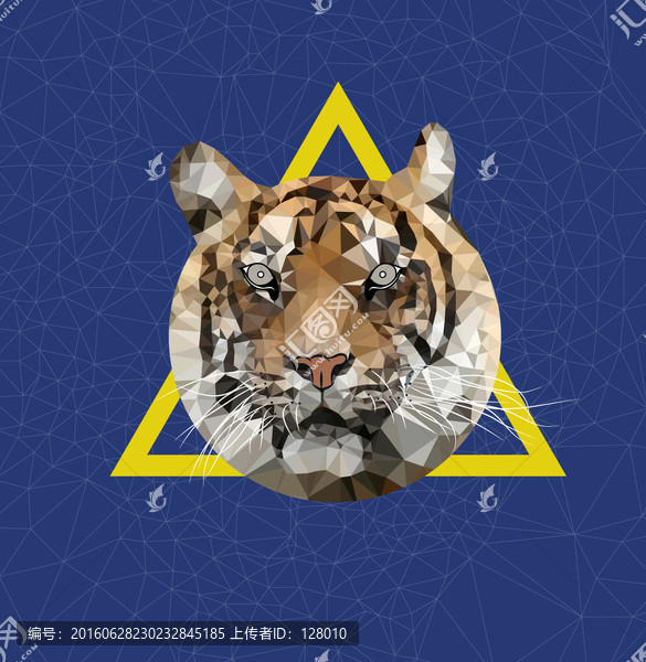 動物,tiger,虎