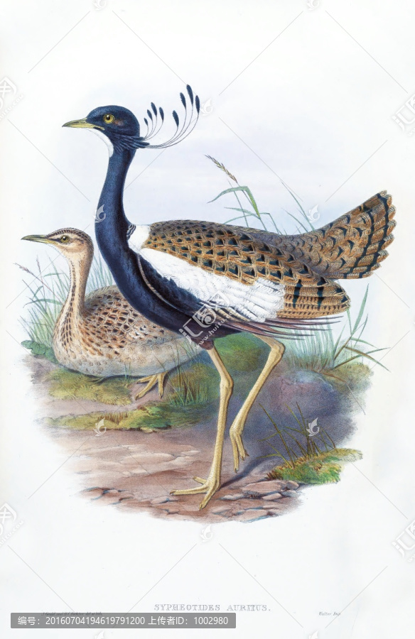 花鳥裝飾畫（合層）