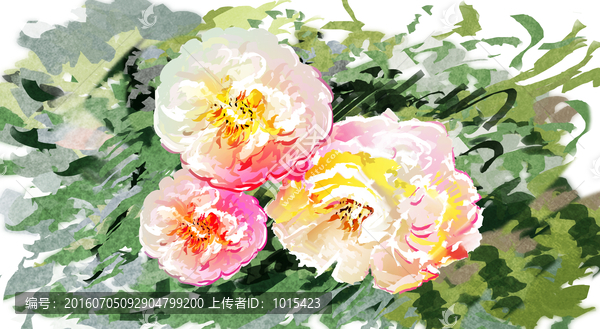 牡丹花
