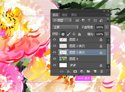 牡丹花