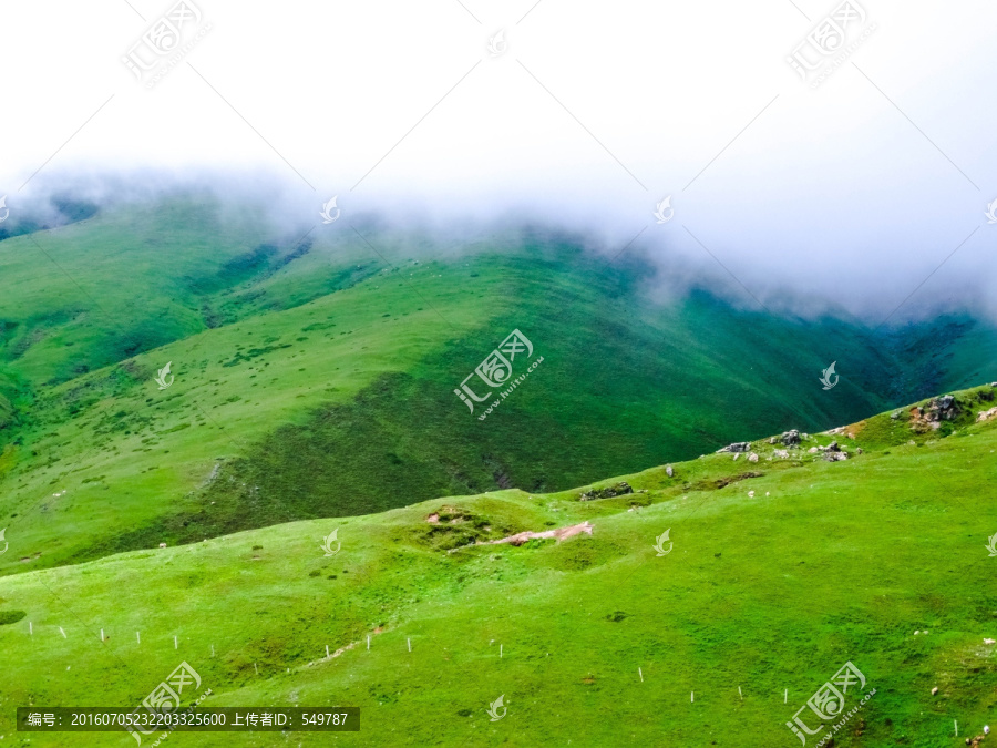 高山牧场