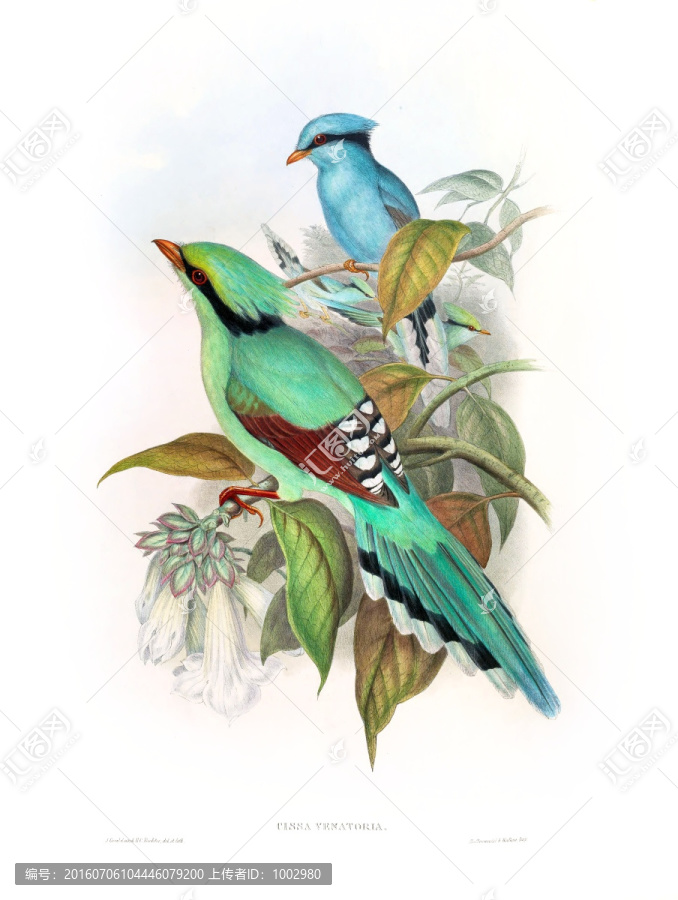花鳥裝飾畫（合層）