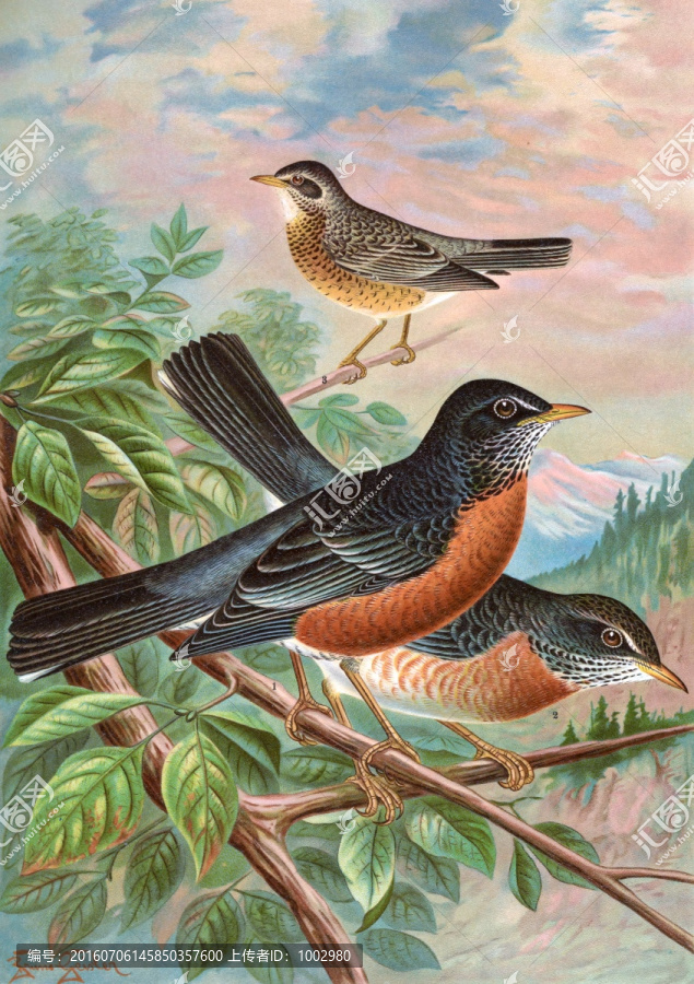 花鳥(niǎo)裝飾畫(huà)（合層）