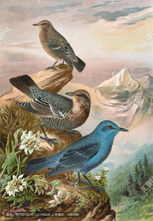 花鳥裝飾畫（合層）