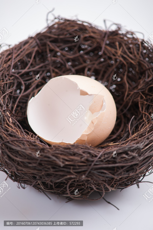 鸟巢中的破碎鸡蛋