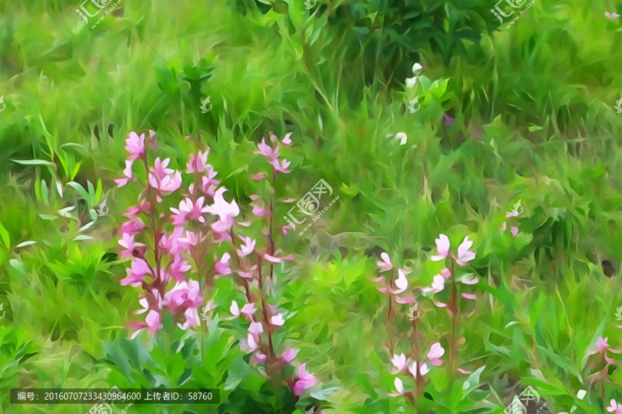 電腦水彩畫,夢(mèng)幻山花