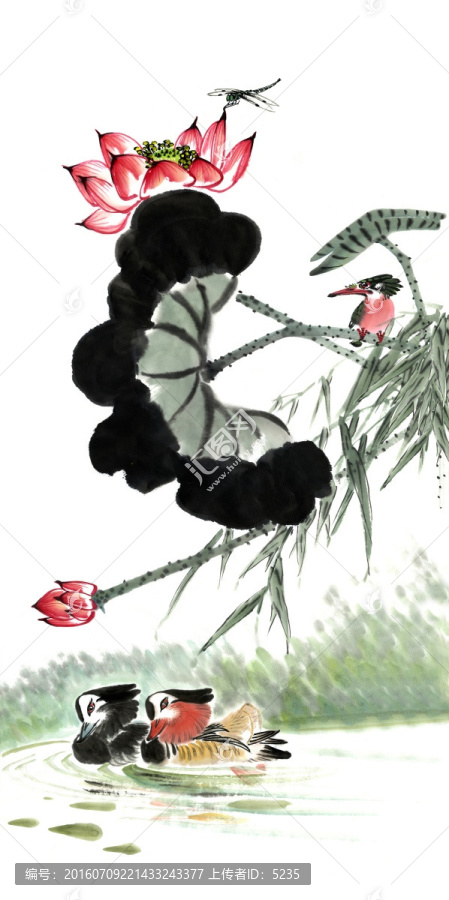 荷花