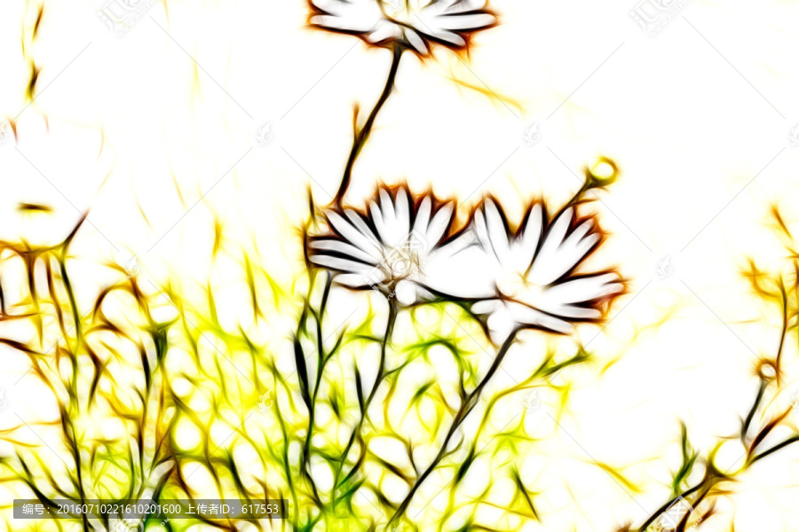 菊花叢