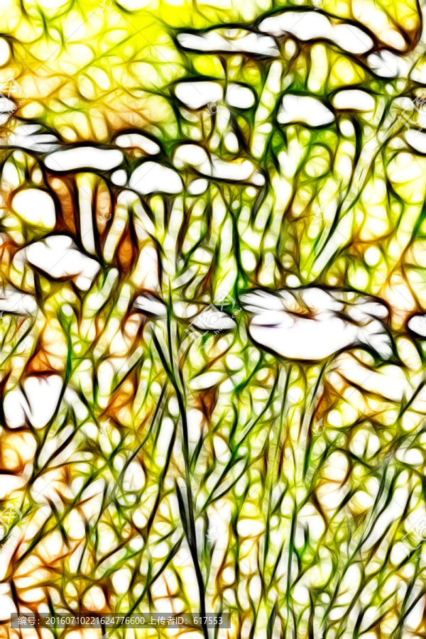 菊花叢