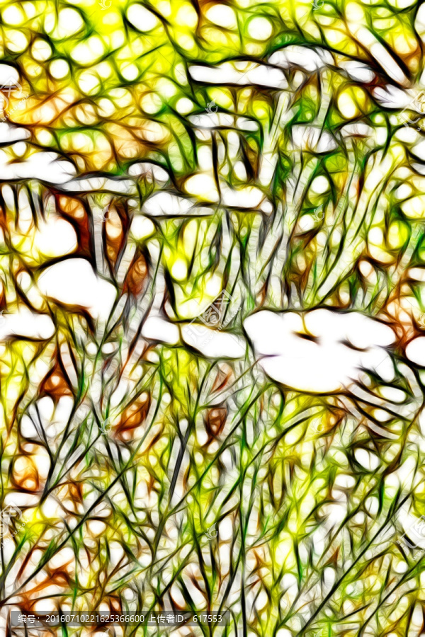 菊花叢