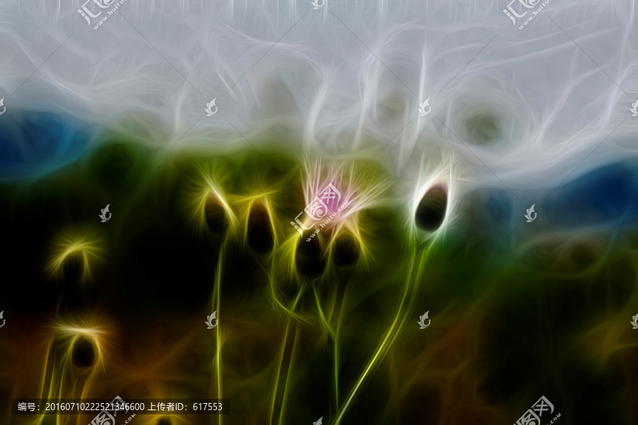 紫花藿香薊