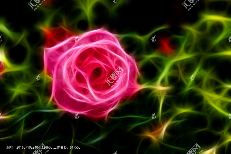 月季花