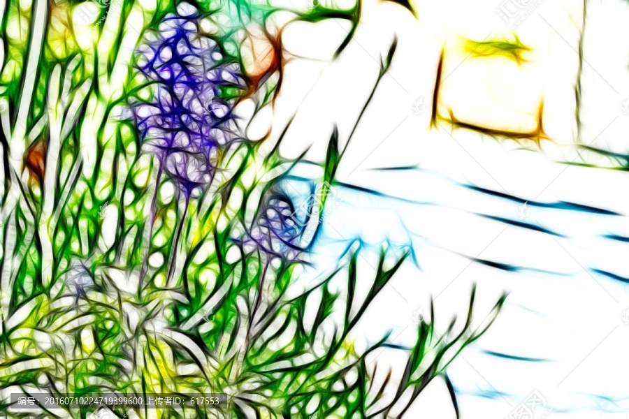 薰衣草