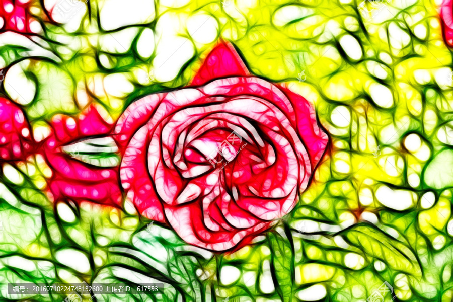 月季花