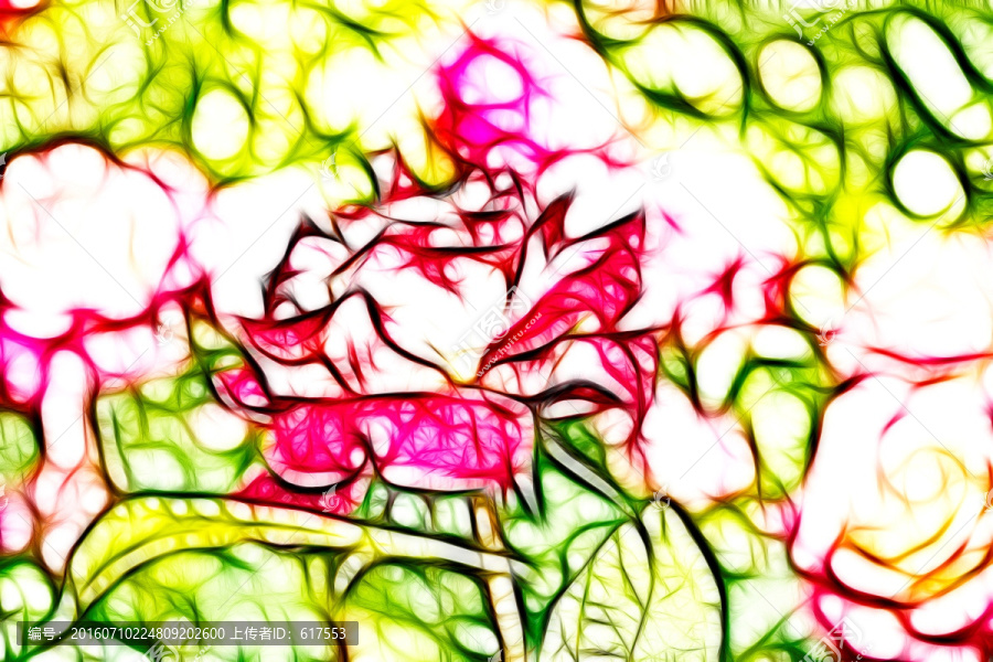 月季花