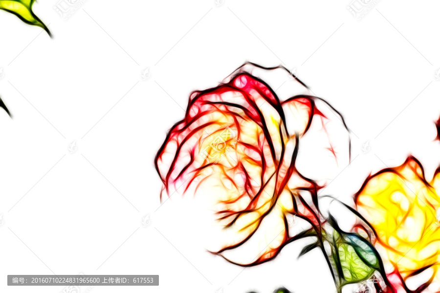 月季花