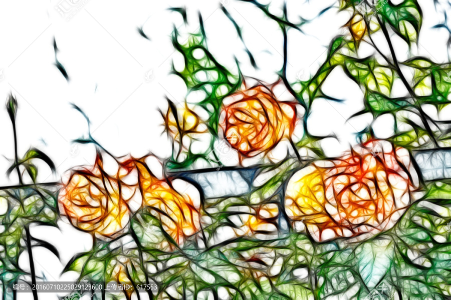 月季花