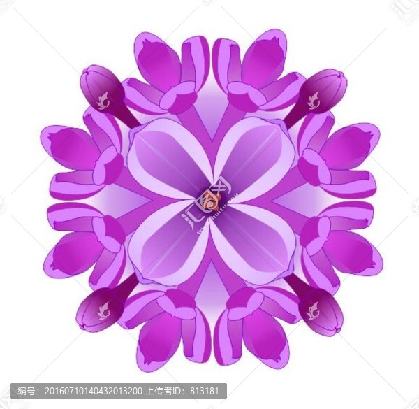丁香花