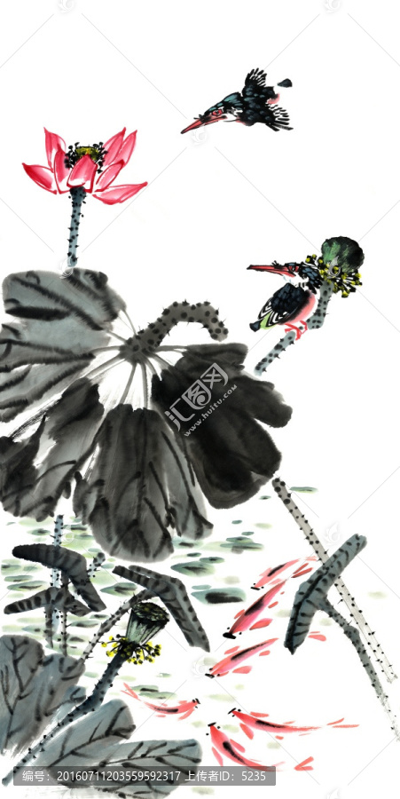 荷花翠鳥