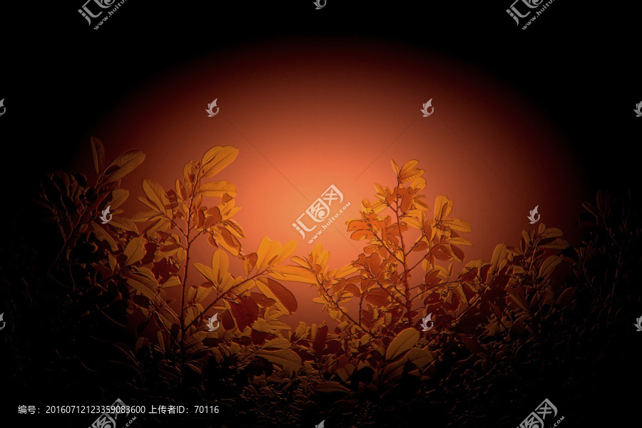 花草樹木銅板彩色浮雕效果圖