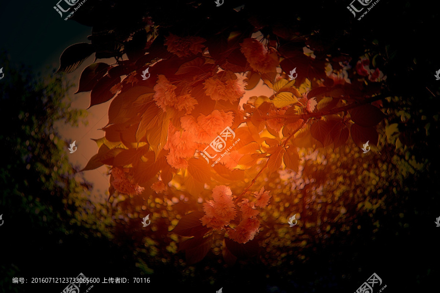 花草樹(shù)木銅板彩色浮雕效果圖