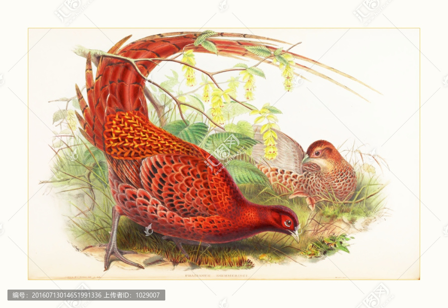 花鳥動物油畫裝飾畫