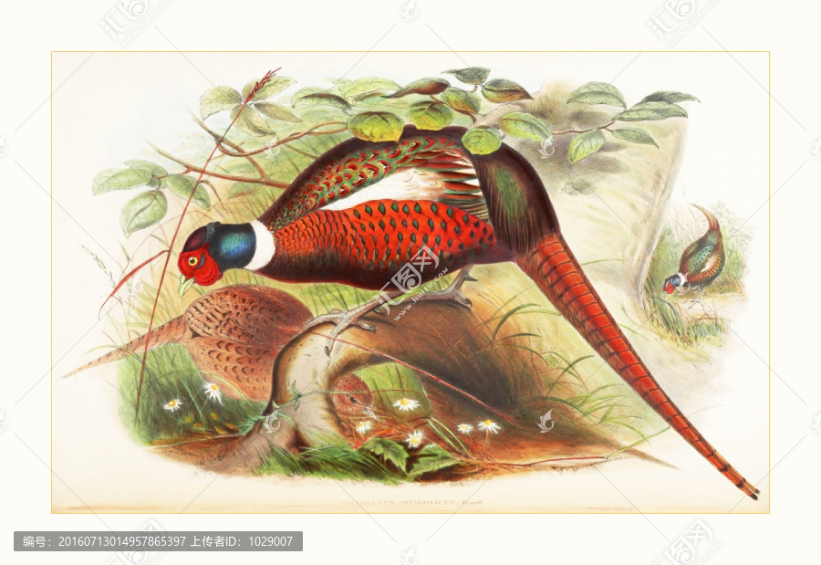 花鳥動物油畫裝飾畫
