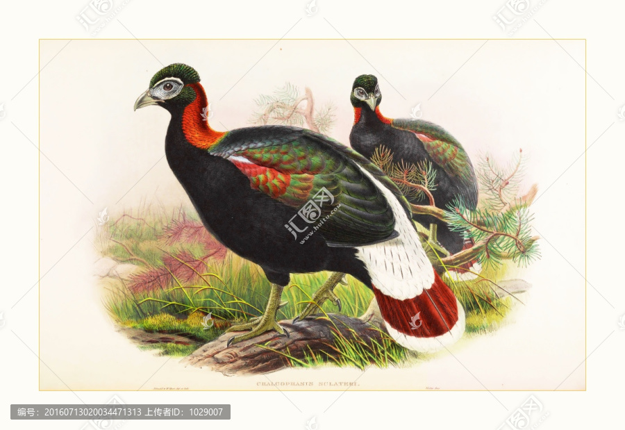 花鳥動物油畫裝飾畫