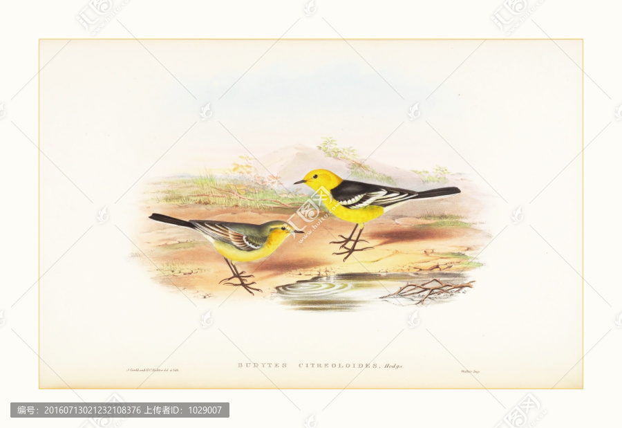 花鳥(niǎo)風(fēng)景油畫(huà)水彩畫(huà)