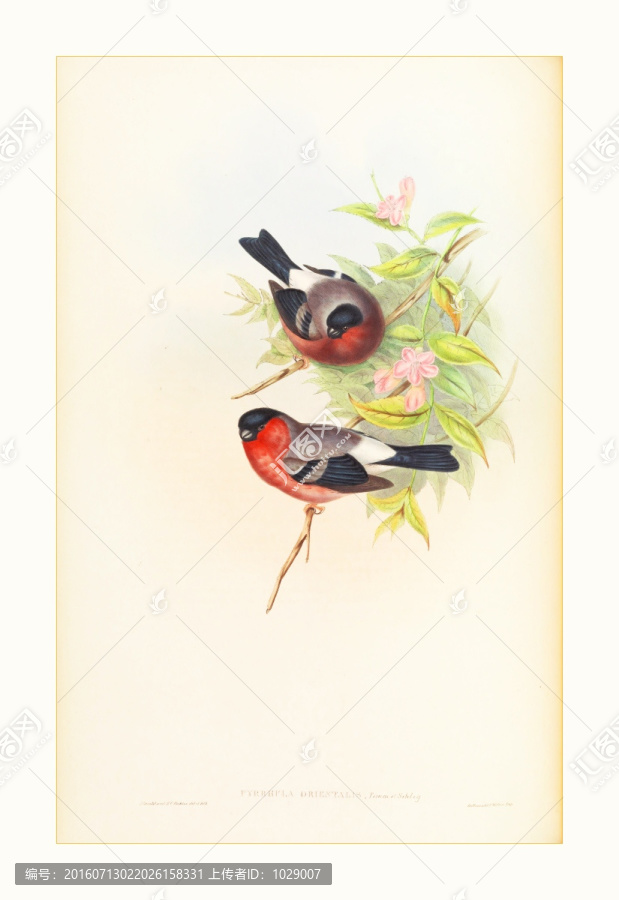 花鳥風(fēng)景油畫裝飾畫