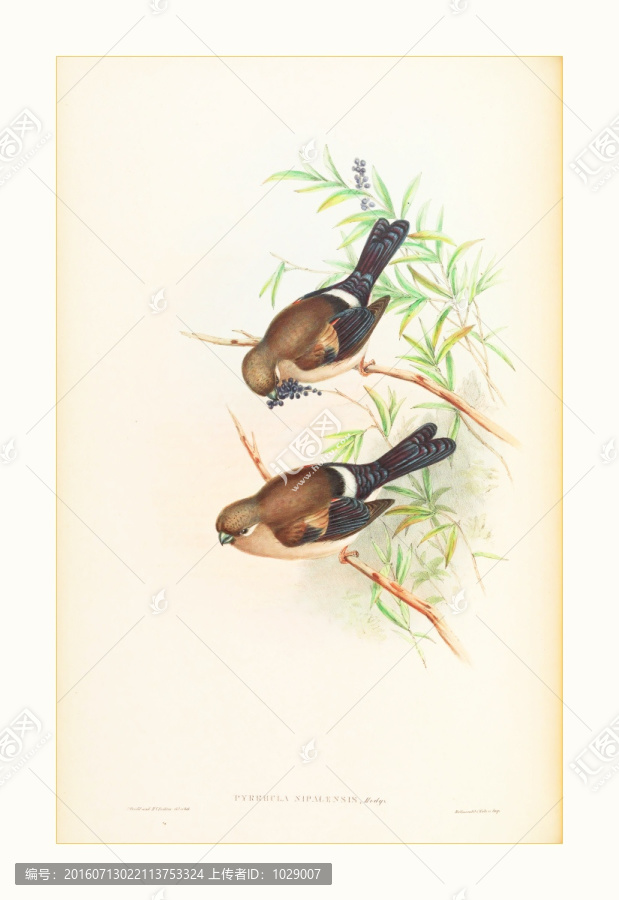 花鳥風(fēng)景油畫裝飾畫