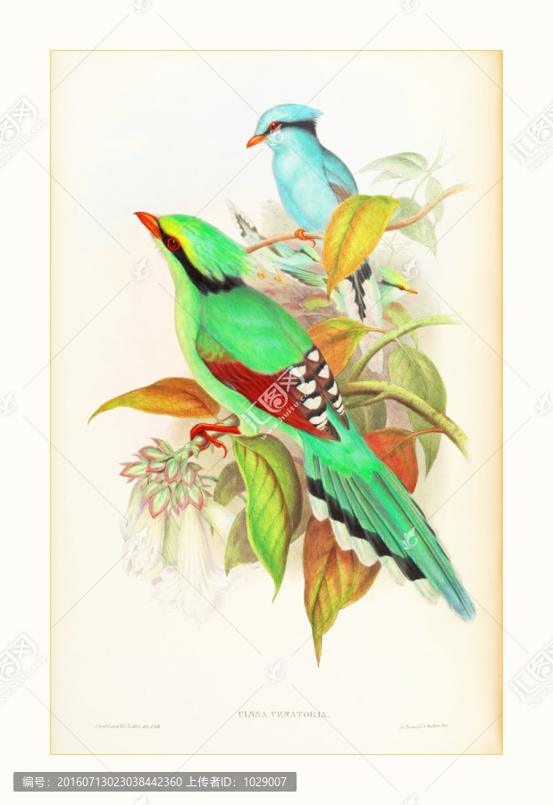 喜鵲花鳥油畫水彩畫