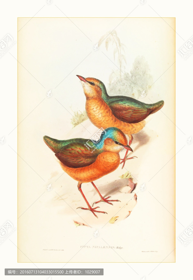 鳥類花卉油畫裝飾畫