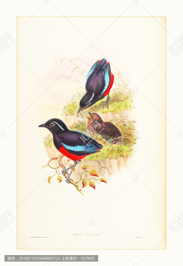 小鳥(niǎo)花卉水彩畫(huà)裝飾畫(huà)