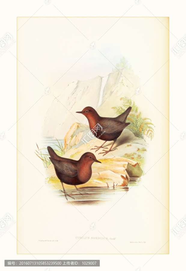 小鳥油畫裝飾畫