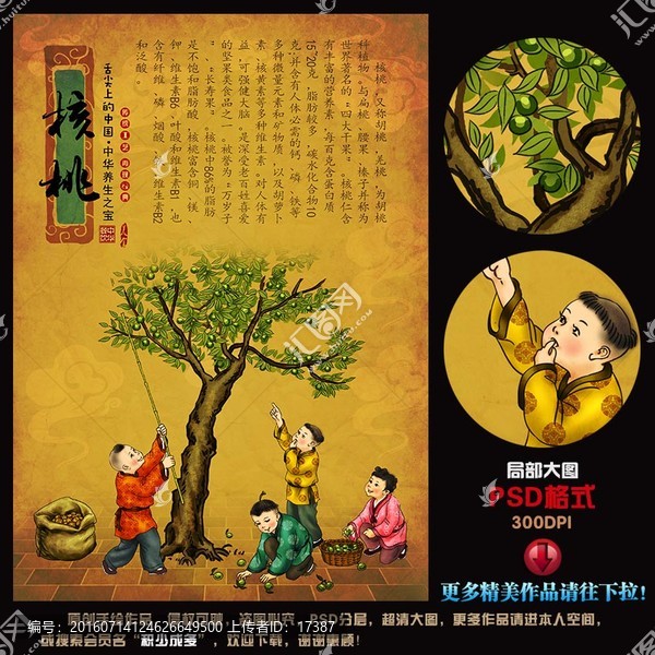 核桃,手繪,插畫(huà),宣傳畫(huà)