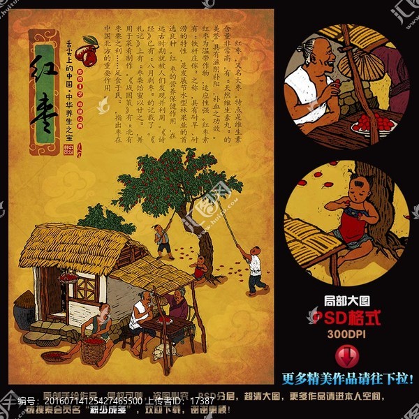 紅棗,手繪,插畫,宣傳畫