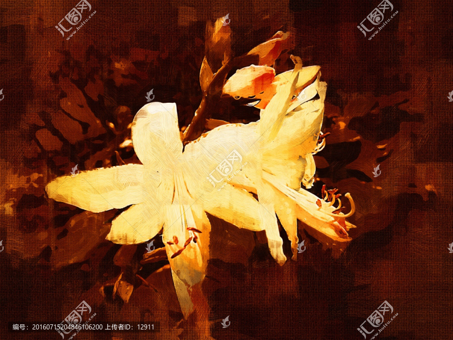 花卉裝飾畫,白玉簪
